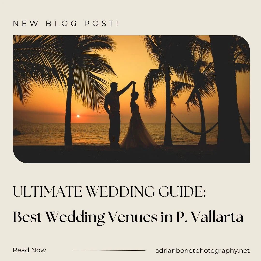 best wedding venues puerto vallarta Guide